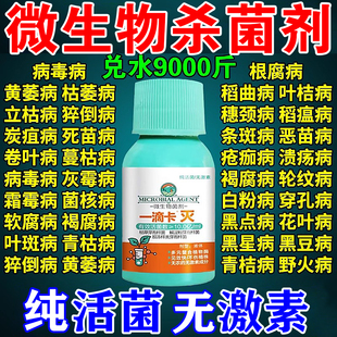 果园消杀灵清园180果树清园剂菌立清面肥杀菌剂吡唑醚茵酯送喷壶