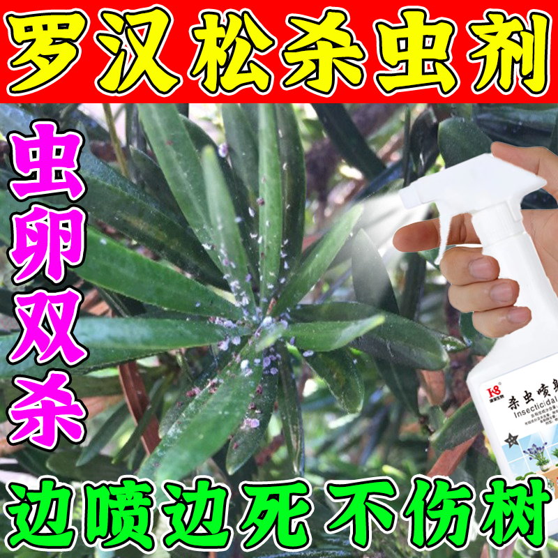 罗汉松杀虫剂专用红蜘蛛蚜白粉病虱介壳虫肥叶枯病杀菌剂M,鲜花速递/花卉仿真/绿植园艺,家庭园艺肥料,淘宝优惠券,粉丝福利购,淘宝优惠卷