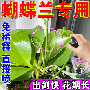 蝴蝶兰营养液兰花专用肥多箭素兰花专用营养液君子兰爆花剑爆芽素