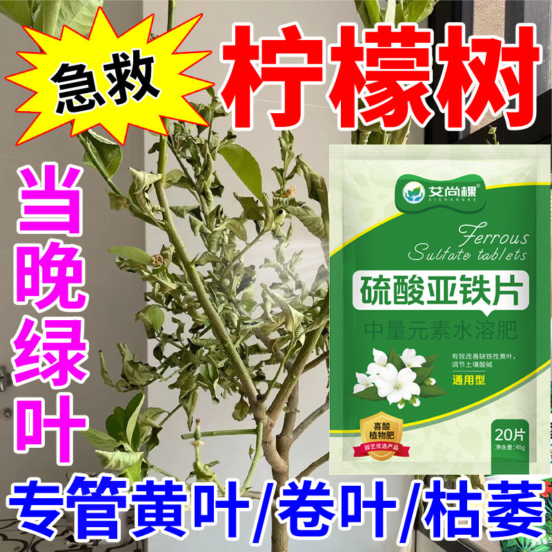 柠檬树专用肥料香水柠檬叶子发黄掉叶不开花不结果复合氮磷钾肥