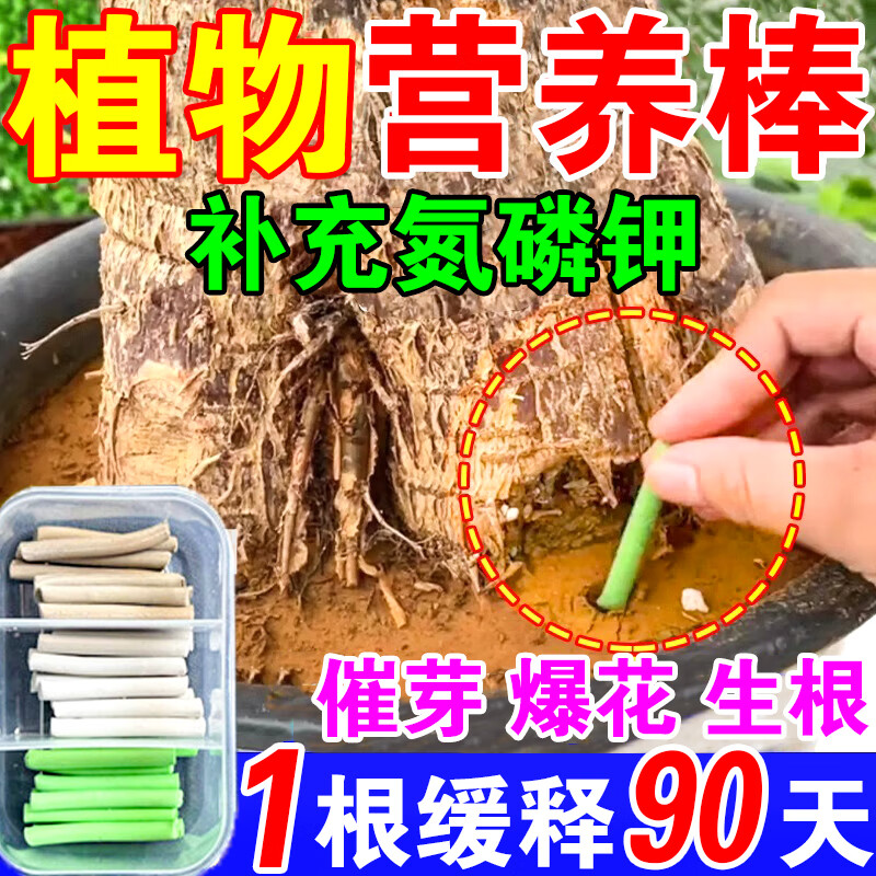 花安亚植物缓释营养棒