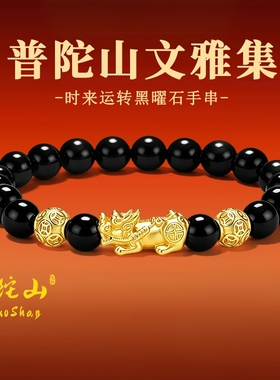 普陀山文雅集足银999貔貅黑曜石