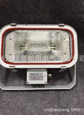 船用不锈钢投光灯TG11300W/500W照明探照灯E40螺口R7S