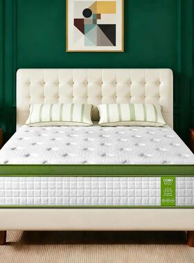 10 Inch Twin Size Hybrid Gel Foam Mattress in a Box with Ind