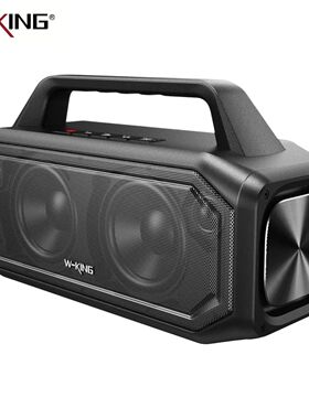 W-KING BT261-2 Bluetooth Wireless, 80W Portable Outdoor Spea
