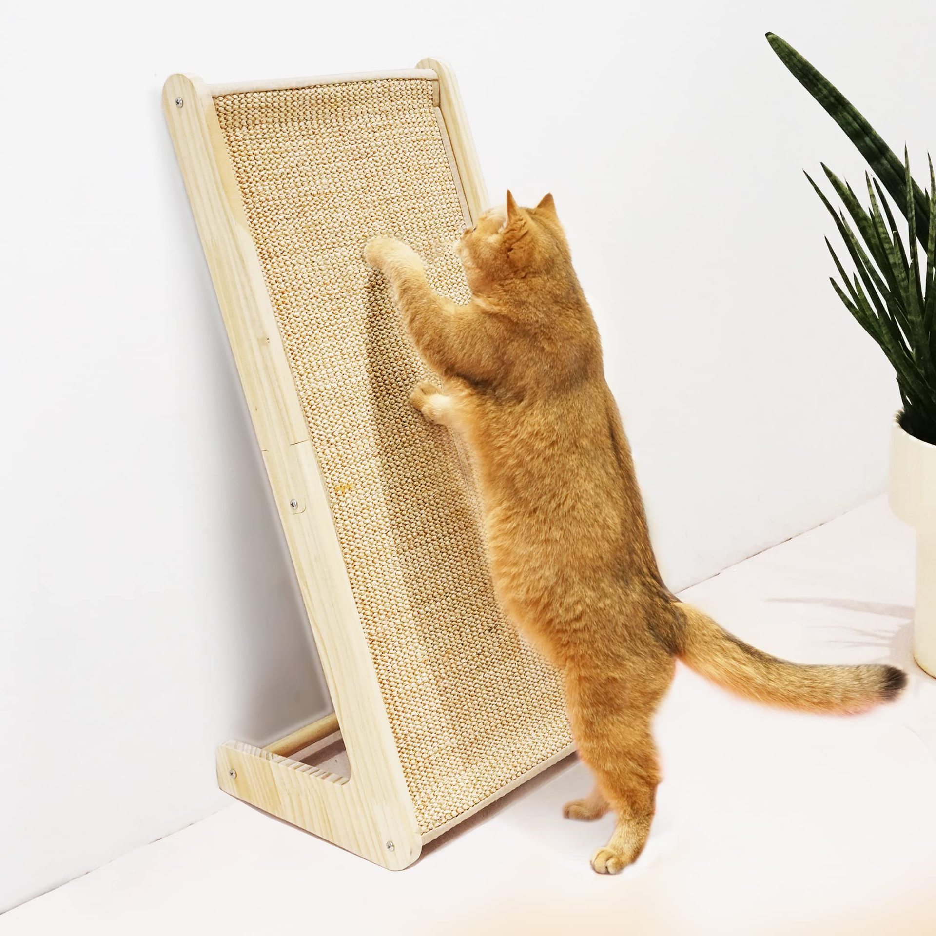 磨爪立式猫抓板不掉屑耐抓耐磨实木猫爬架猫抓柱猫玩具猫爪板跨境