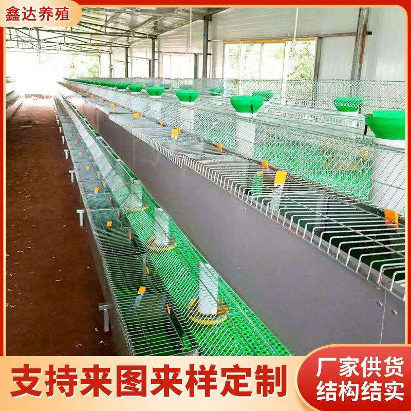 供应销售欧式兔笼养兔设备10只欧式兔笼阶梯式自动清粪欧式兔笼