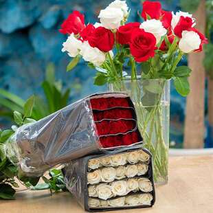 顺丰包邮云南昆明鲜花基地直发红玫瑰花斗南直批家庭水养玫瑰花