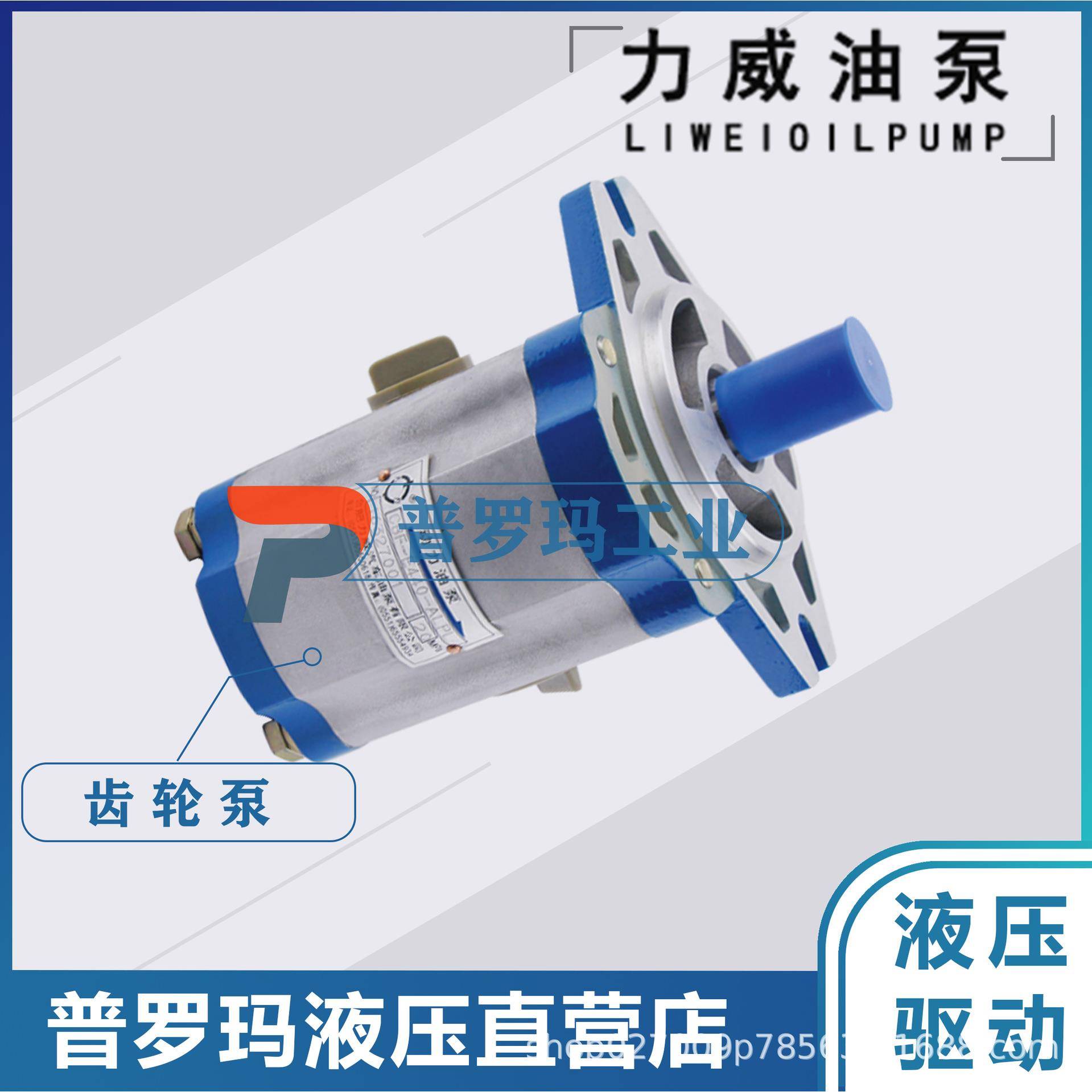合肥力威3407020-454-ZC10力威客汽车动力泵转向泵QC12/13-D10WX