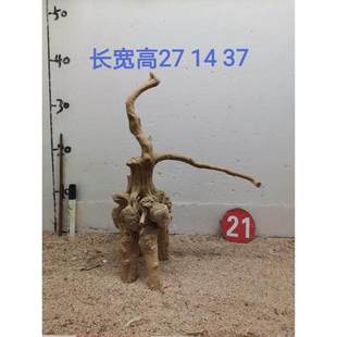 杜鹃根树桩栖根草缸造景沉木水陆缸雨林缸南美缸一木成景爬宠缸架