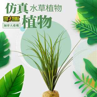 希瑾爬虫雨林缸造景仿真植物爬宠躲避睫角守宫饲养箱绿植装饰龟背