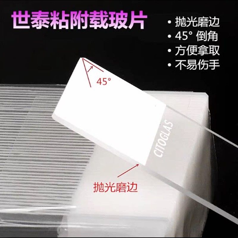 世泰 超白玻璃 粘附载玻片 正电荷防脱 188105W 50片/盒 高清免洗图片