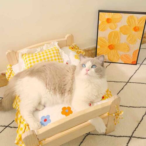 宠物公主床猫窝狗窝实木四季通用宠物睡垫子博美马尔济斯宠物摆拍