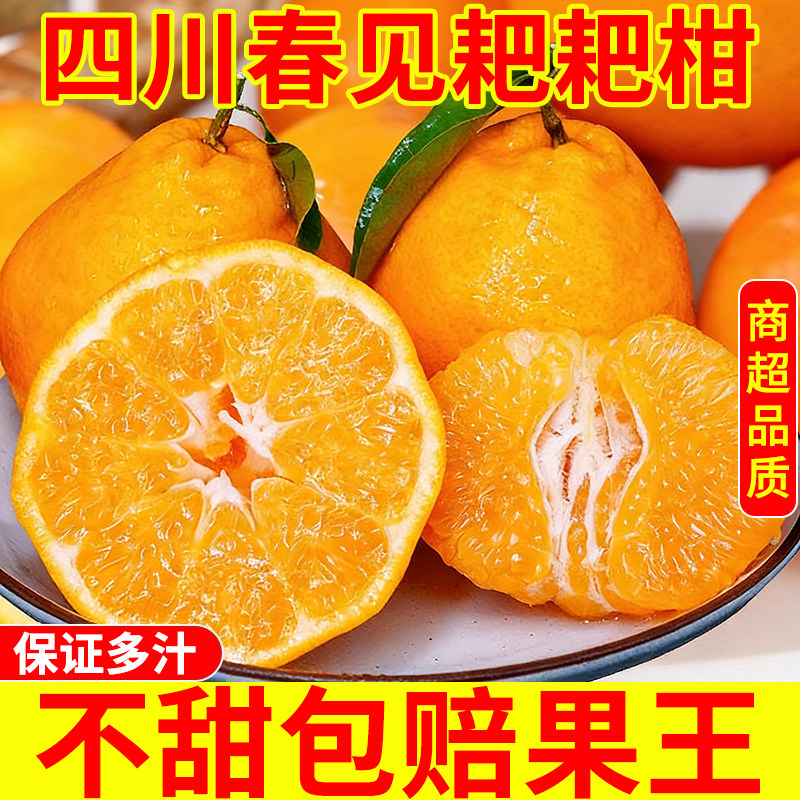 正宗四川春见耙耙柑粑粑柑杷杷柑新鲜水果整箱当季丑桔子橘旗舰店,水产肉类/新鲜蔬果/熟食,桔子,淘宝优惠券,粉丝福利购,淘宝优惠卷