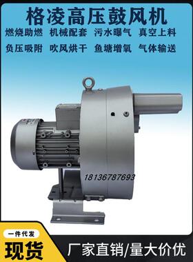 双段高压风机4RB 620N-0AH46-8 4.0KW气环式深水曝气增氧漩涡气泵