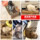 大号猫抓板耐磨不掉屑瓦楞纸大猫爪板靠背猫沙发猫窝猫咪磨爪器