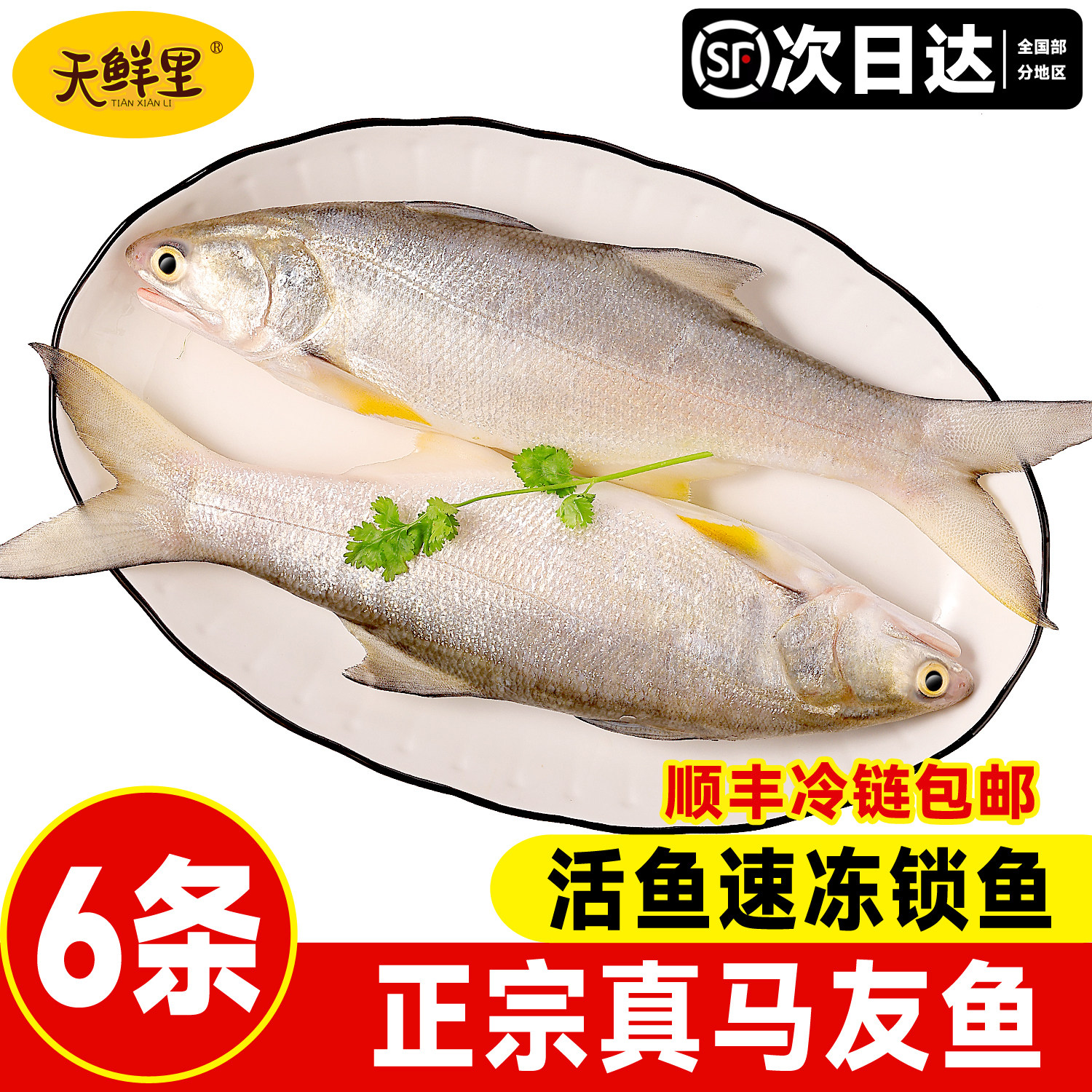 顺丰冷链阳江马友鱼新鲜送礼