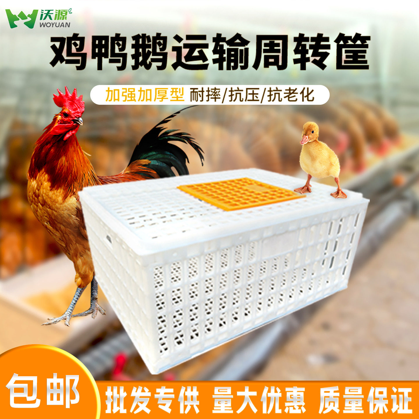 家禽鸡笼运输笼塑料加厚周转箱筐