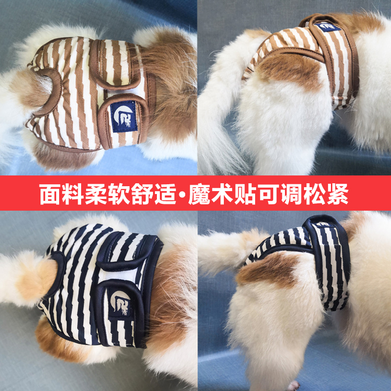 宠物狗狗薄款生理裤柯基秋田法斗