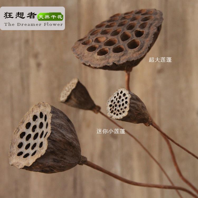 莲蓬森系自然干花束真花店餐厅家居装饰插花diy云南厂家