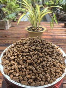 赤玉土日本原装进口全颗粒专用营养土铺面兰花植料多肉土