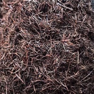 松针腐殖土发酵垫材疏松透气营养土养花种菜通用专用肥料种植土