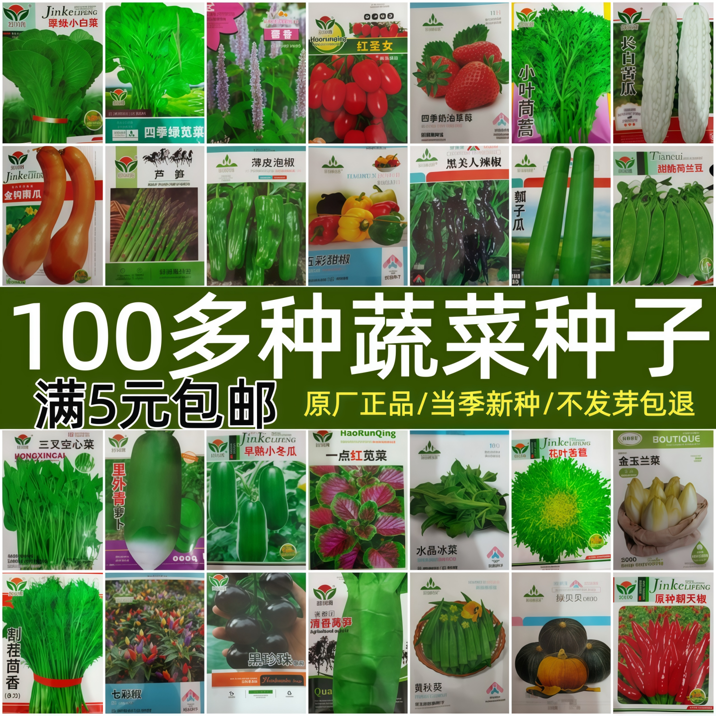 蔬菜种子四季大全农家菜园青菜菠菜春季辣椒西瓜夏秋白菜萝卜籽孑