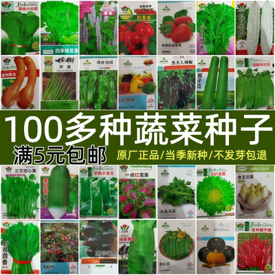 四季蔬菜种子农家菜园春夏秋南方
