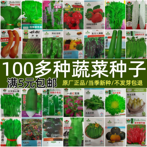 四季蔬菜种子农家菜园春夏秋南方