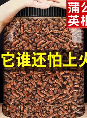 蒲公英根茶长白山野生整根浦萄公英蒲谷丁根炒熟正品正宗原产罐装