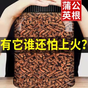 蒲公英根茶长白山野生整根浦萄公英蒲谷丁根炒熟正品正宗原产罐装