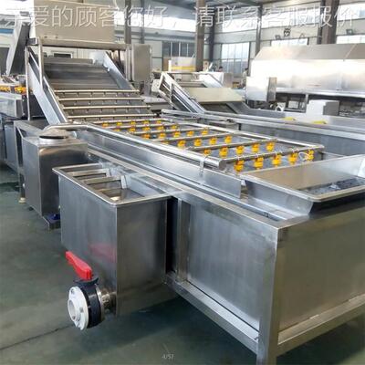 果蔬气泡PGC机洗 不锈钢叶菜类蔬清洗设备 山野清菜菠菜萝卜清洗