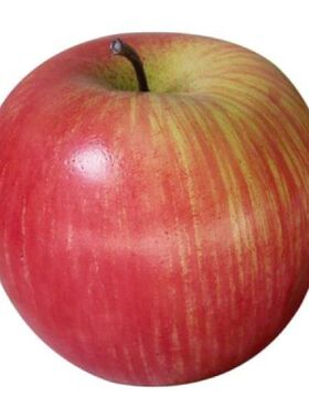 极速Large Kitjchen Decoration Adornment Fake Home Decor