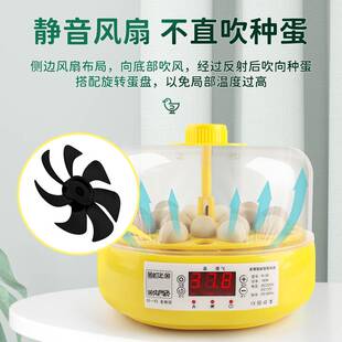 极速芦丁鸡孵化器小鸡孵蛋器小型家用儿童孵化机受精蛋Z水床全自