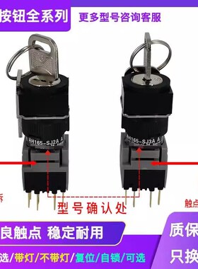 二三档钥匙选择按钮开关AH165-SJ2A  AH164-SJ2A SJ3A 11A  B