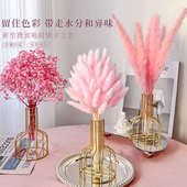 粉色芦苇草干花花束直播间装 饰摆件仿真花天然风干客厅高级感摆设