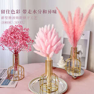 粉色芦苇草干花花束直播间装饰摆件仿真花天然风干客厅高级感摆设