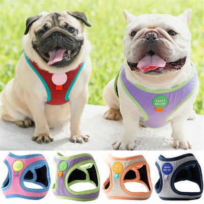 韩国PuppyGallery撞色宠物胸背狗狗背心式遛狗牵引绳法斗背带狗绳