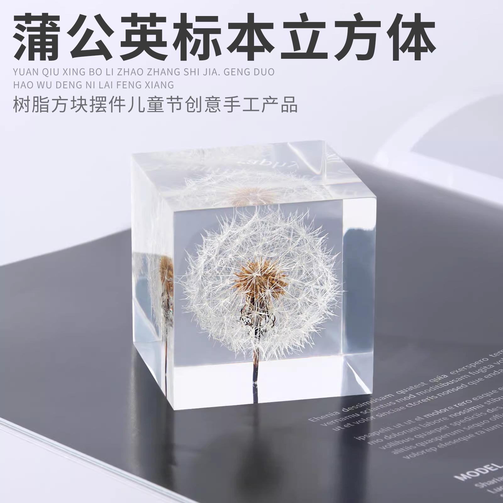树脂蒲公英标本创意镇纸摆件