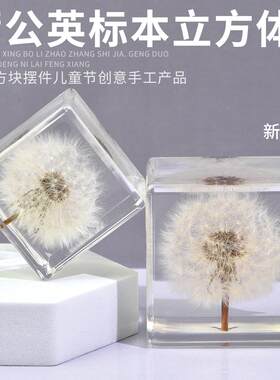 蒲公英方块树脂水晶创意小礼品