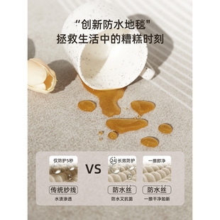 防水免洗沙發(fā)茶幾地墊家用大面積全 客廳地毯輕奢感2024新款