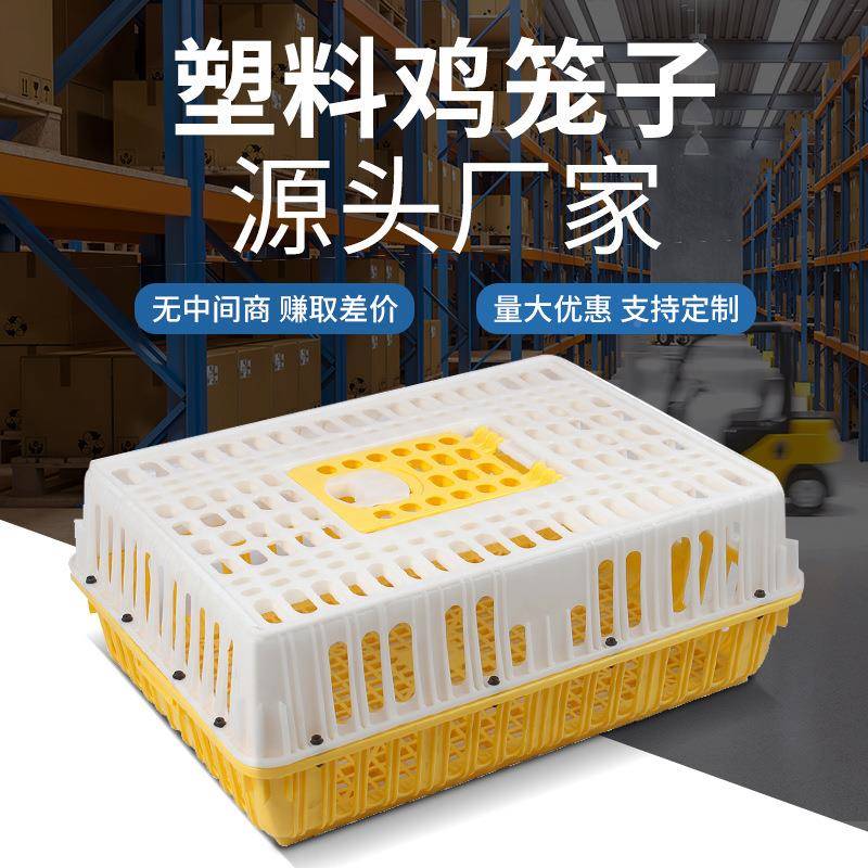 塑料鸭笼塑料鸡笼周转加高家成鸡鸭运输笼禽养殖笼WSE箱厂成家直