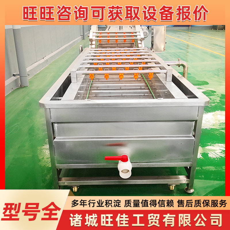 商用大型果蔬气泡喷淋清洗机