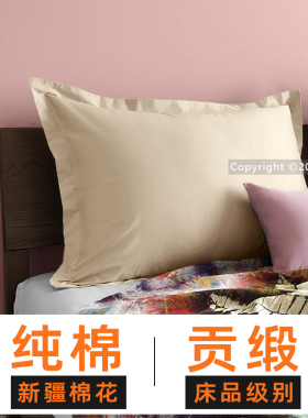 ll床上靠枕大靠背无床头垫枕套65x85长方形榻榻米沙发抱枕套可拆