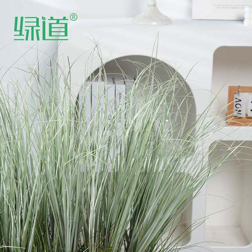 狗尾巴草苇真仿芦草丛堆把束XTU绿植造景装饰直播假间森系室内外