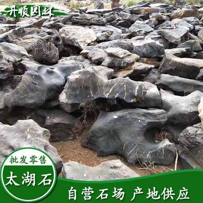 广东THS-016英德景观石假太湖石石驳摆件庭院山岸石园林原造景太