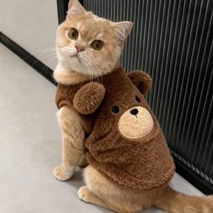 猫咪衣服秋冬保暖加绒卫衣银渐层布偶英短防掉毛小型犬可爱背心M