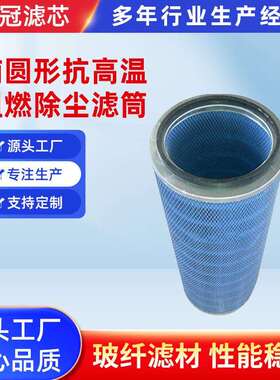 替代除尘器专用椭圆形耐高温阻燃除尘滤筒/P191889滤芯