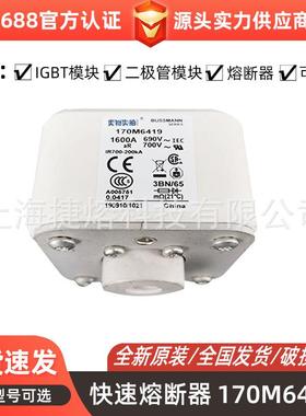 170M6419170M6420快速熔断器保险丝电子元器件量大价优