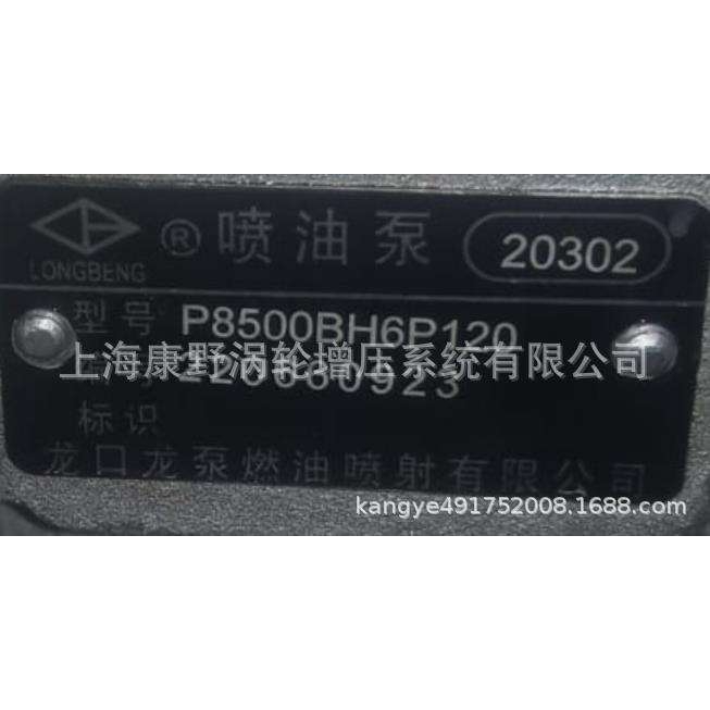 适用大柴喷油泵BP5B84 BH6P和5280 BHT6P120 1111010-E124和20302